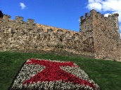 Castle with symbol of the Knights Templar